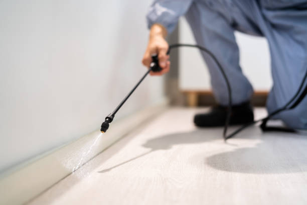 Licensed Exterminator service in McKinleyville, CA - Show Me Pest Control