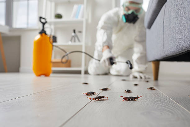 Commercial Rodent Management in McKinleyville
